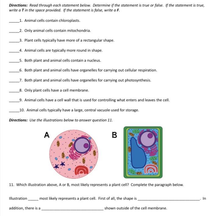 Fill out this cell worksheet-example-1