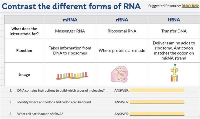 Please Help! This is about Different forms of RNA.-example-1