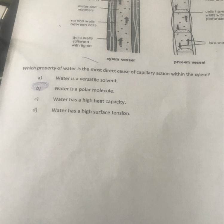 Pls help asap which property of water is the most direct cause within the ? ) Water-example-1