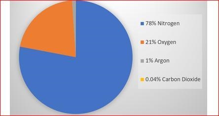 Will give 15 Points Based on this graph, which type of gas is the most common in Earth-example-1