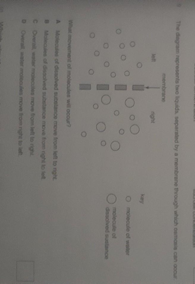 What movement of molecule will occur ​-example-1