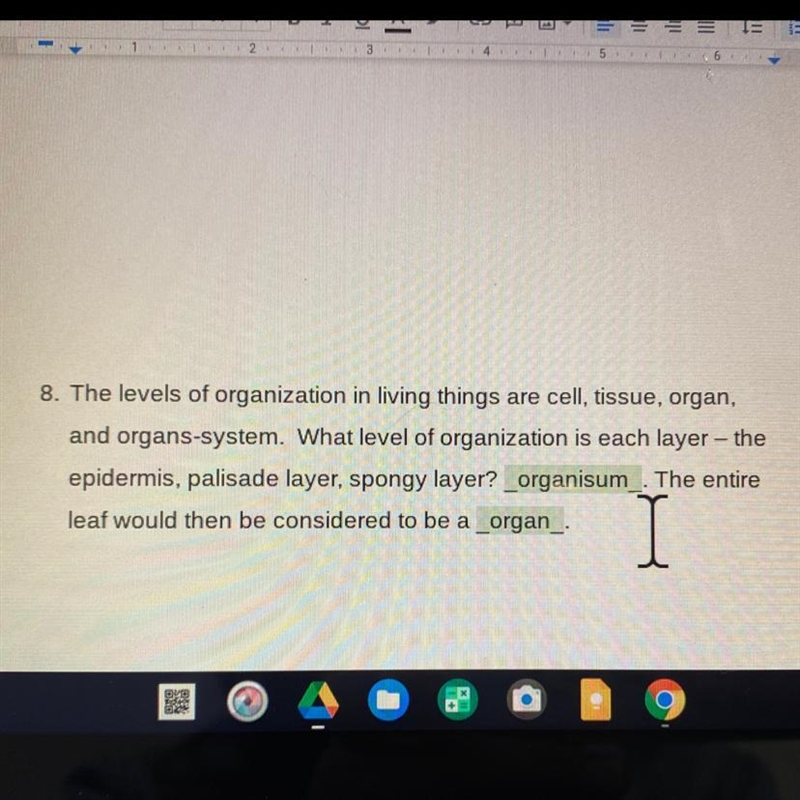 The levels of organization in living things are cell, tissue, organ, and organs-system-example-1