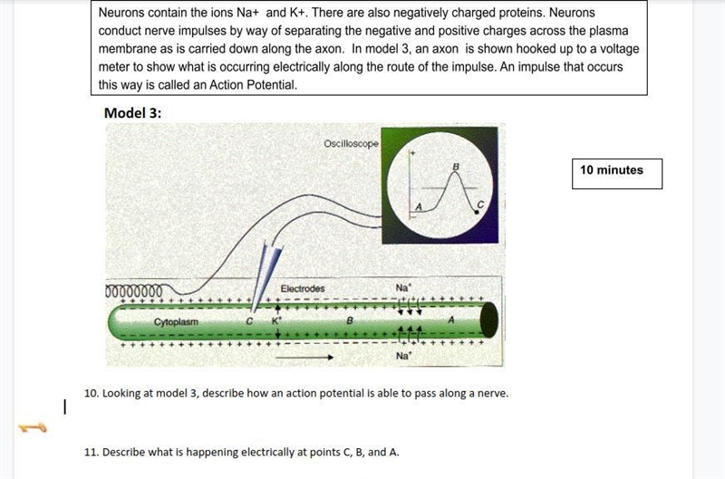 I need help with both questions-example-1