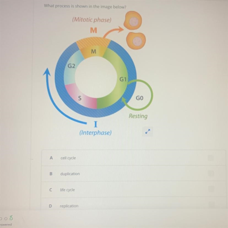 What process is shown?-example-1