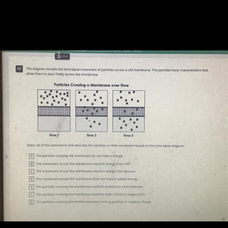 What are all the correct statements-example-1