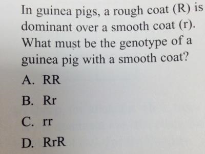 1. RR 2. rr 3. RrR 4. Rr-example-1