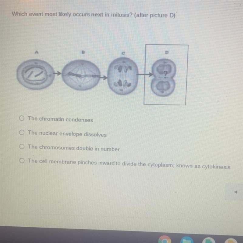 Can somebody help me out please-example-1