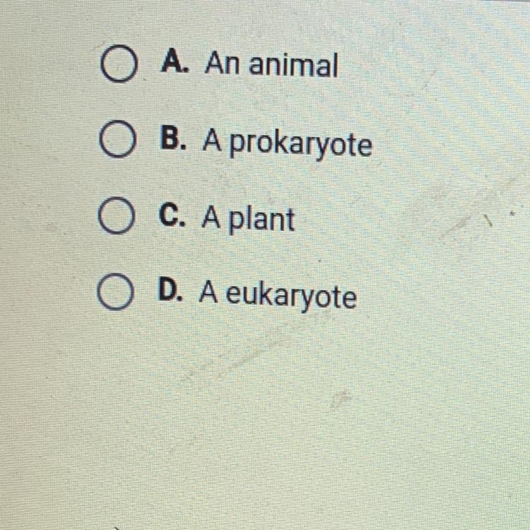 Which of the following is an organism whose cells each contain a membrane bound nucleus-example-1