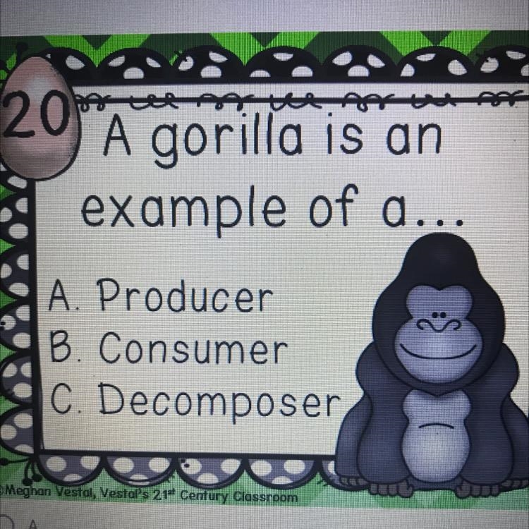 A gorilla is an example of a producer, consumer, or decomposer?-example-1