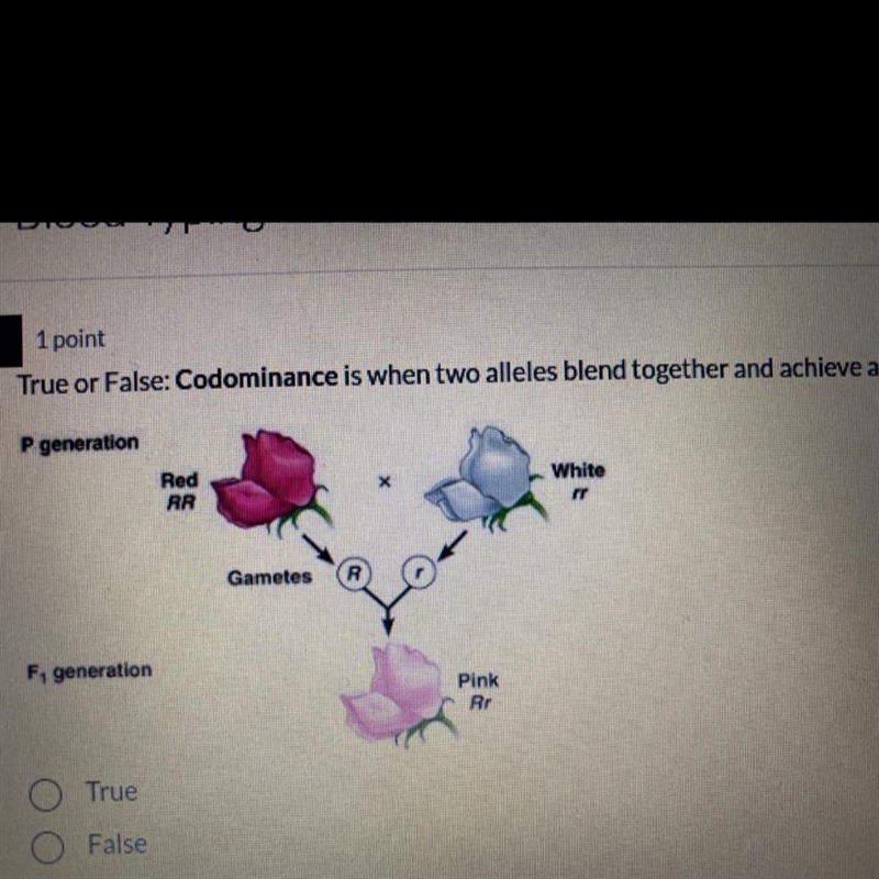 True or False: Codominance is when two alleles blend together and achieve an intermediate-example-1