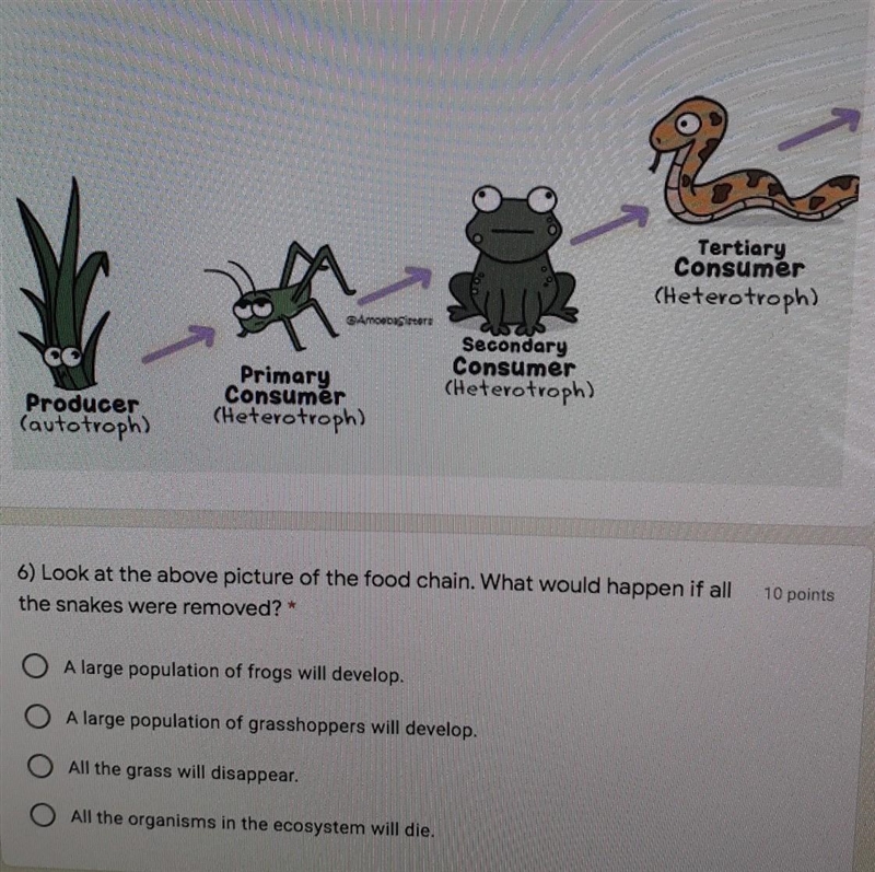 What would happen if snakes were removed from the food chain?​-example-1