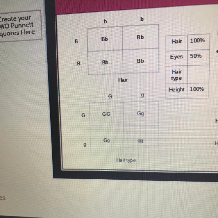 Ok so for hair type I need the percentage for the whole punnett square-example-1