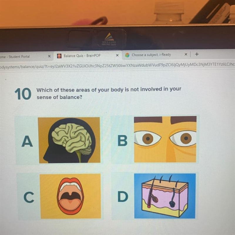 Pls help it’s brainpop it’s 6th grade science lol-example-1