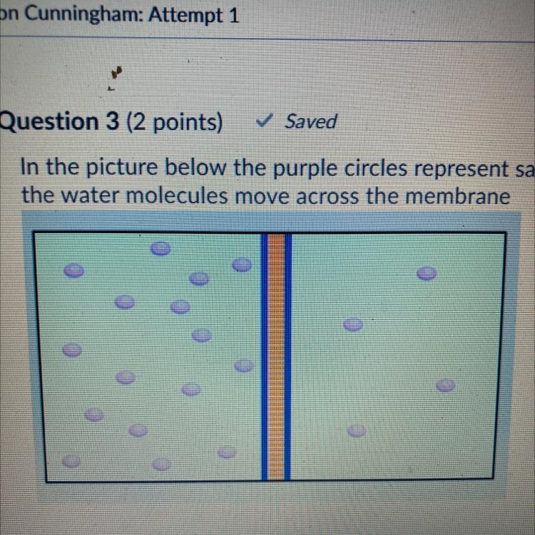 In the picture below the purple circles represent salt molecules. Which way would-example-1