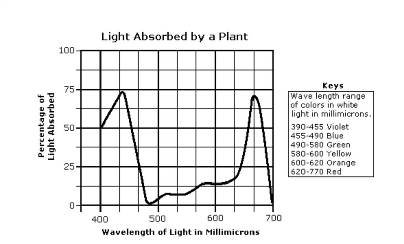 The most light absorbed by this plant is A. blue and green. B. green and yellow. C-example-1