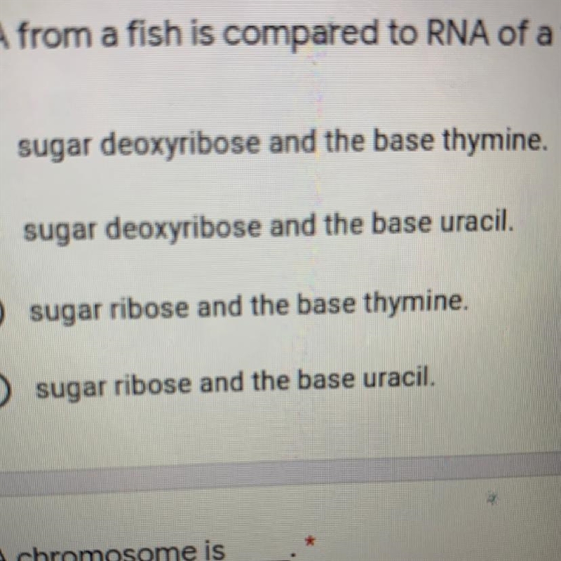 BIOLOGY HELP PLEASE RNA from fish is compared to RNA of tomato. what do both contain-example-1