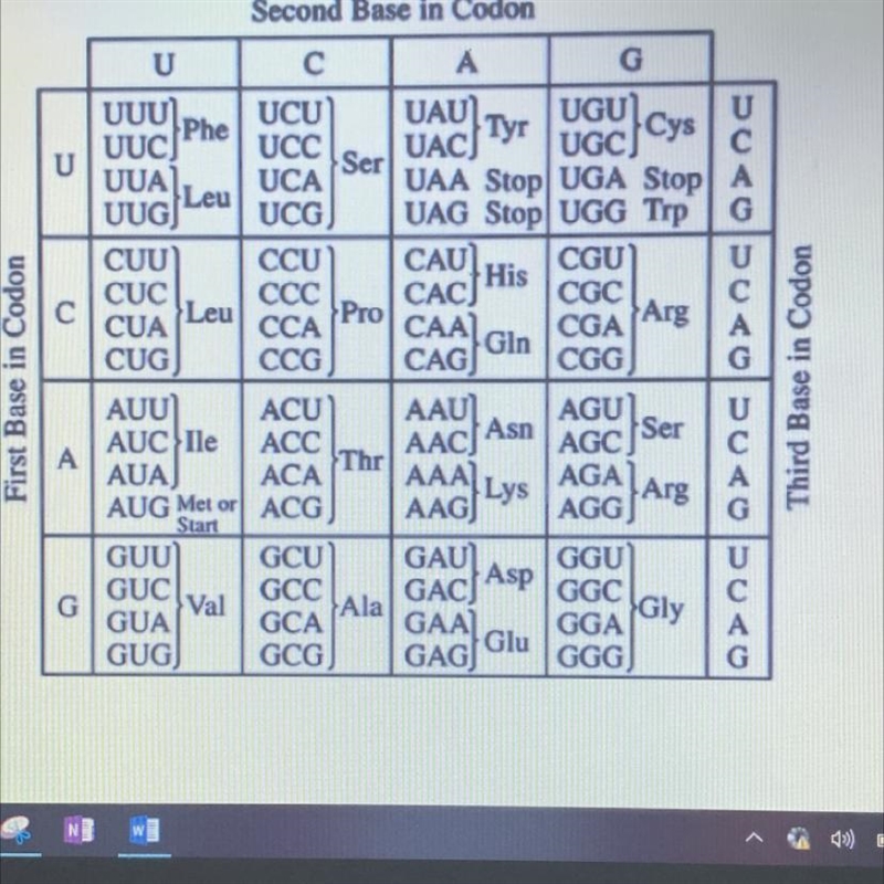 In DNA, a sequence of three bases is a code for the placement of a certain amino acid-example-1