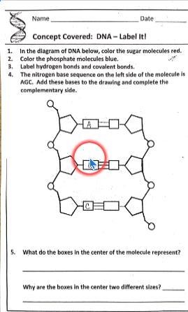 Help me with this asap please.-example-1