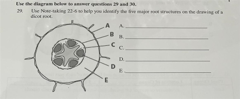 29. Use the diagram below to answer questions 29 and 30. Use Note-taking 22-6 to help-example-1