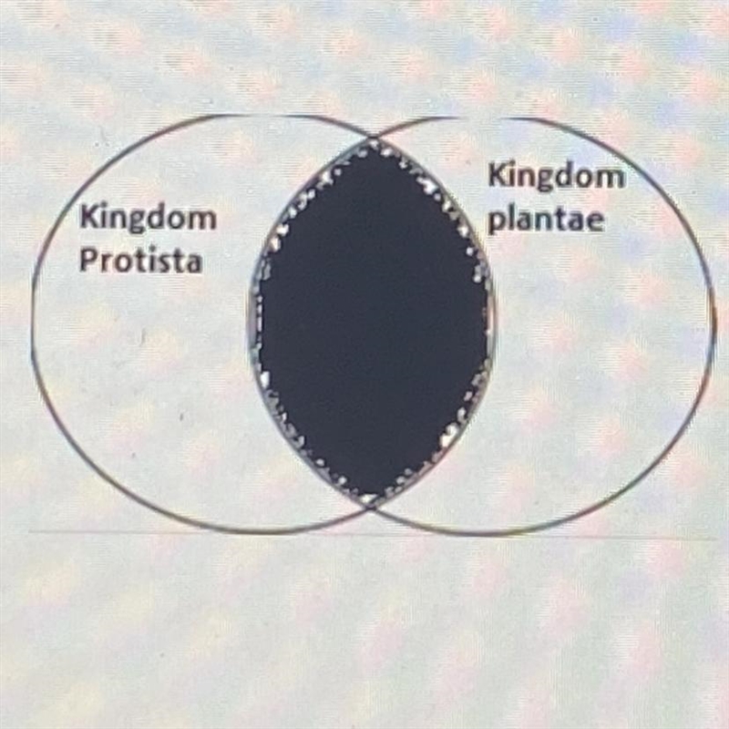 A student wants to use a Venn diagram to show the characteristics two kingdoms of-example-1