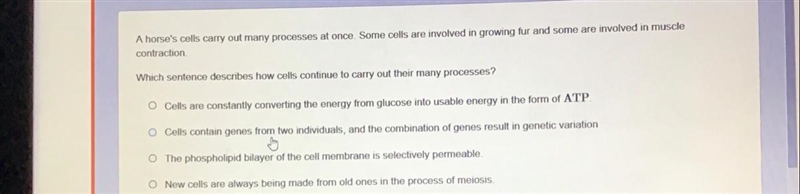 A horse's cells carry out many processes at once. Some cells are involved in growing-example-1