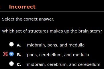 Which set of structures makes up the brain stem? HINT: It's not B. A. midbrain, pons-example-1