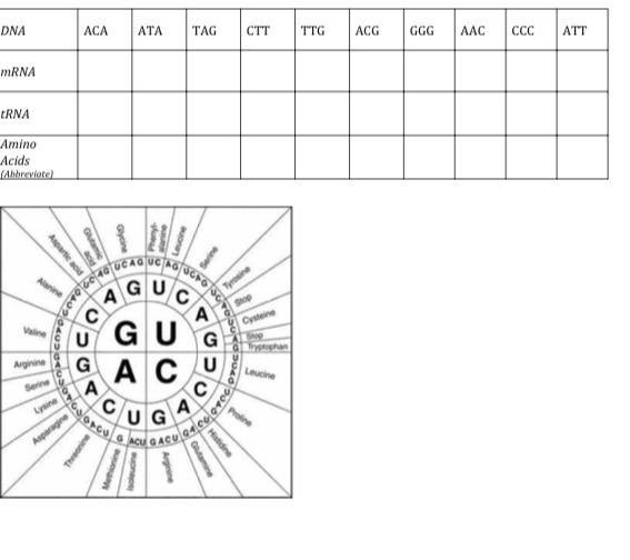 Please help me fill the chart in-example-1