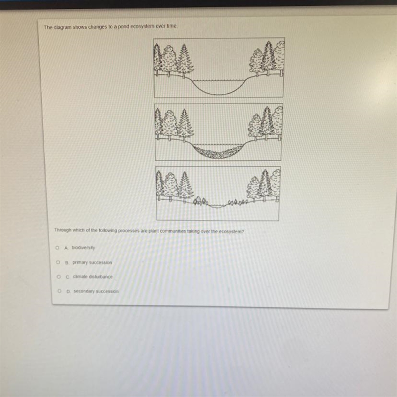 Can someone please help me with this-example-1