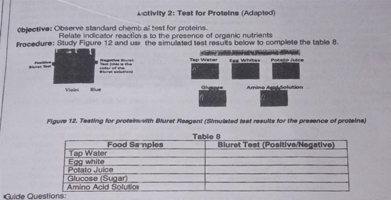 Guide Questions: 1 Describe your observation based on the table. 2. Which food may-example-1