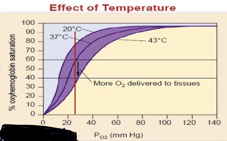 Can someone explain what's going on in the graph?-example-1