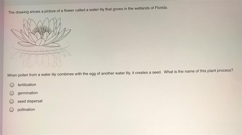 The drawing shows a picture of a flower called a water lily that grows in the wetlands-example-1