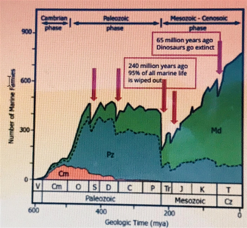 What do you see happening in the graph 65 million years ago?-example-2