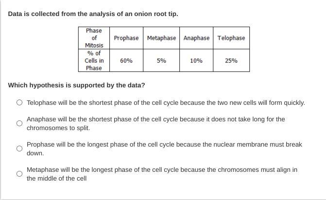 MASTERY CONNECT MITOSIS-example-1