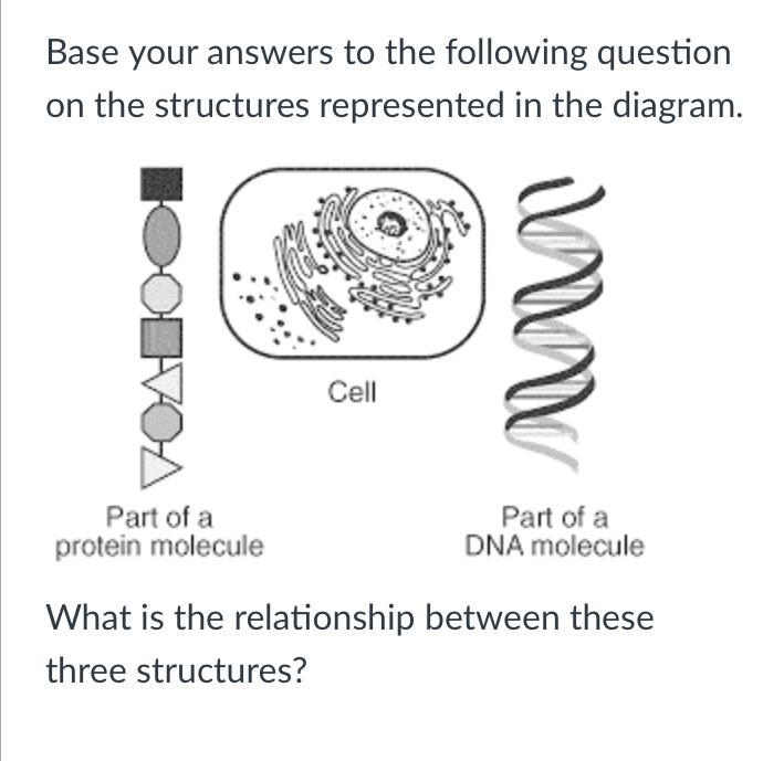 Base your answers to the following question on the structures represented in the diagram-example-1