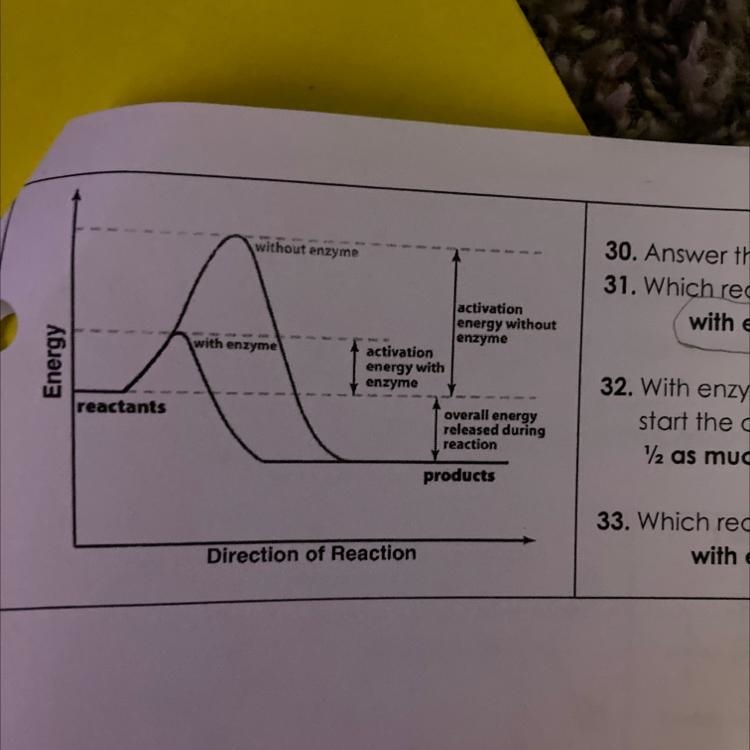 Which reaction happens faster A. with enzymes or B. without enzymes-example-1