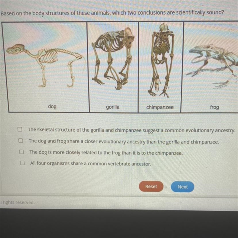 JLILLLULL LUI ILLUVIJ. Based on the body structures of these animals, which two conclusions-example-1