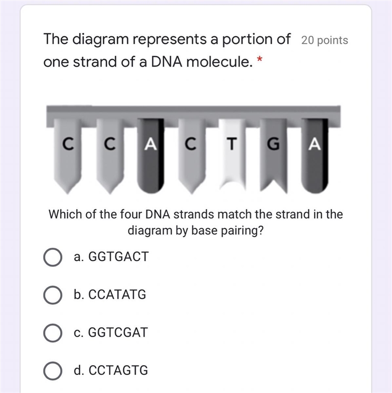 Which of the four strands match the strand in the diagram by base pairing?-example-1