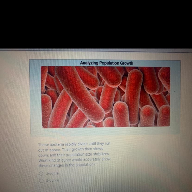 These bacteria rapidly divide until they run out of space. Their growth then slows-example-1