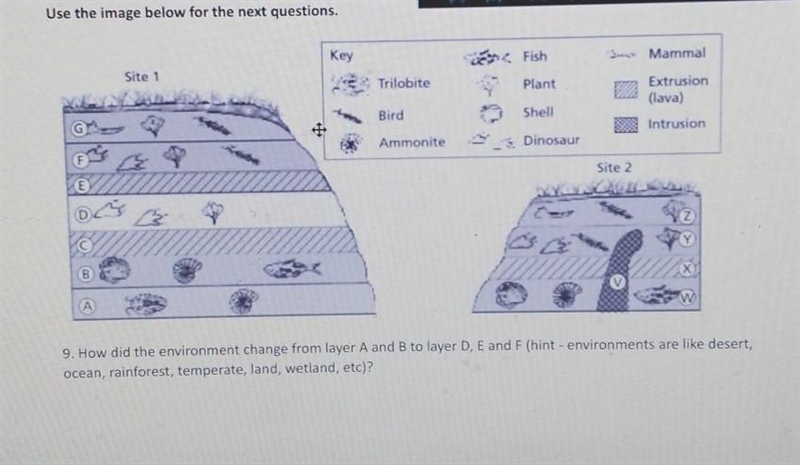 Earth science: fossils question pls help​-example-1