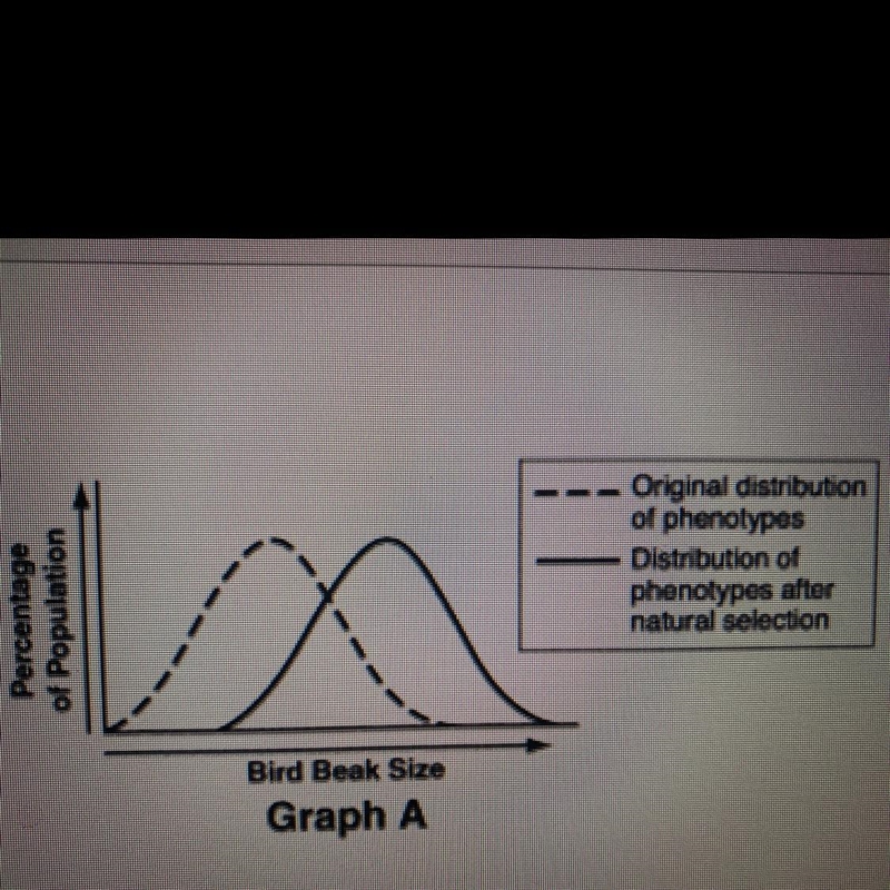 According to the graph above, which size of seeds have the most likely become the-example-1