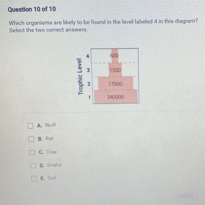 Which organisms are likely to be found in the level labeled 4 in this diagram? Select-example-1