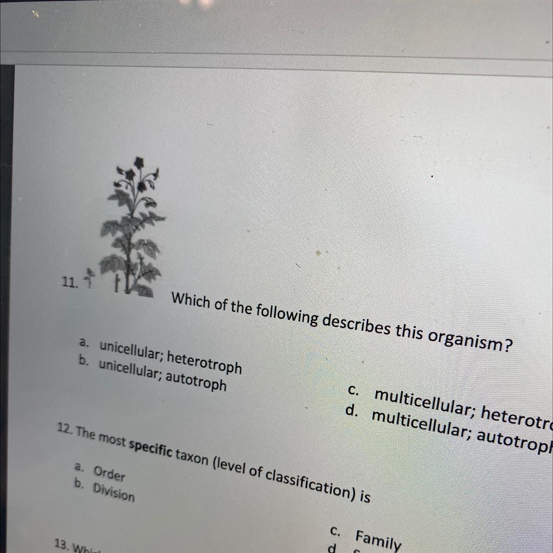 What is the answer to this question 11-example-1