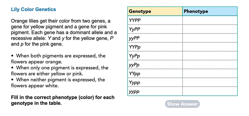 I'm having a lot of trouble with this, could someone help me out with this!-example-1