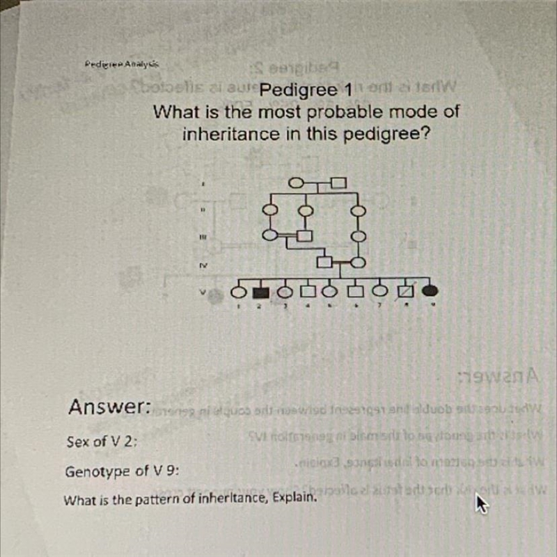 Help i don’t understand this question-example-1