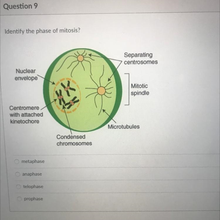 I DONT UNDERSTAND PLEASE HELP ME OUT-example-1