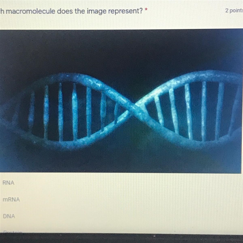 Which macromolecule does the image represent? ASAPPPP I NEED HELP-example-1