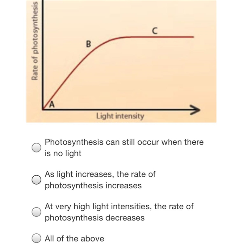 The following graph shows the effect of light on the rate of photosynthesis. Which-example-1