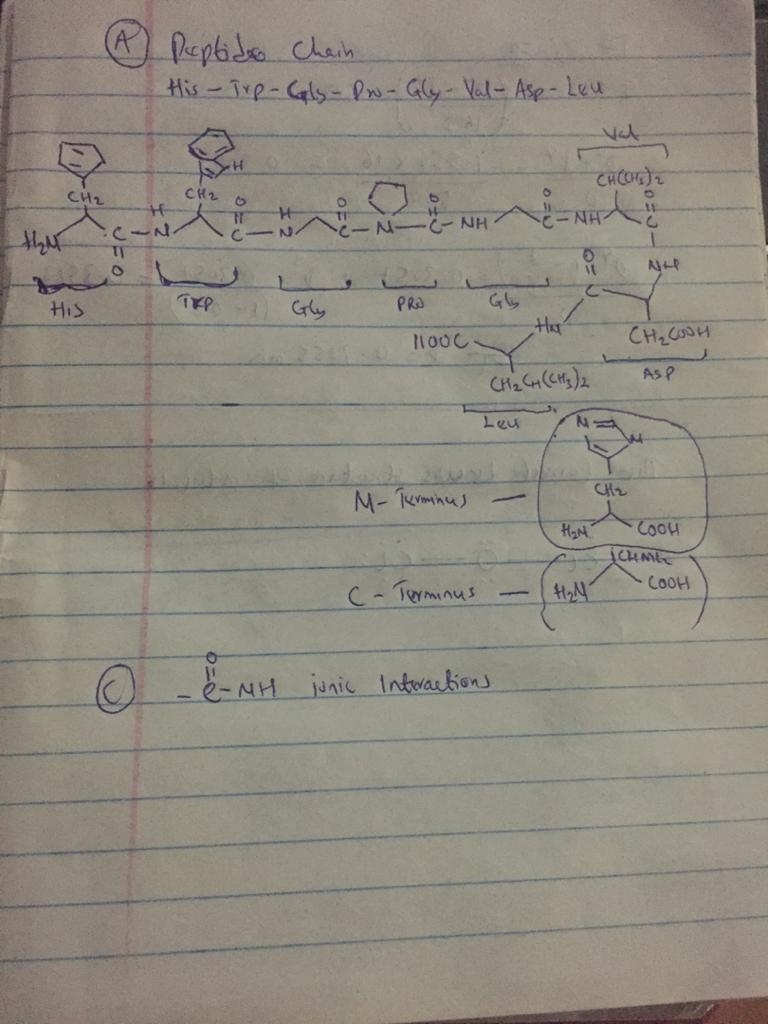 g Peptide chains consist of more than one amino acid joined together. (13) a. Draw-example-1