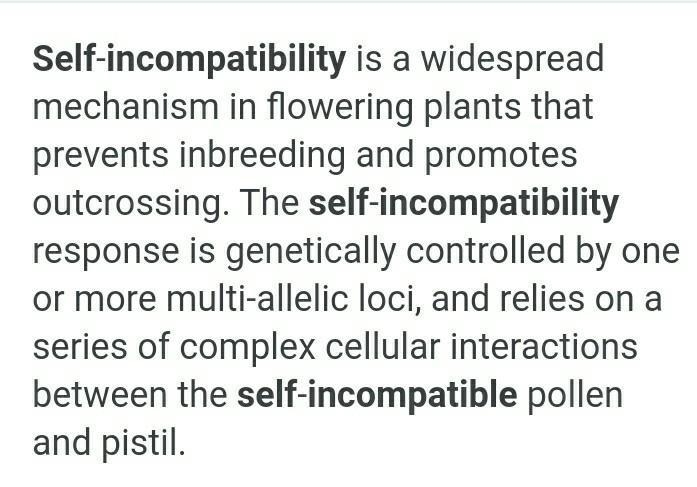 What is self-imcompatibilty???​-example-1