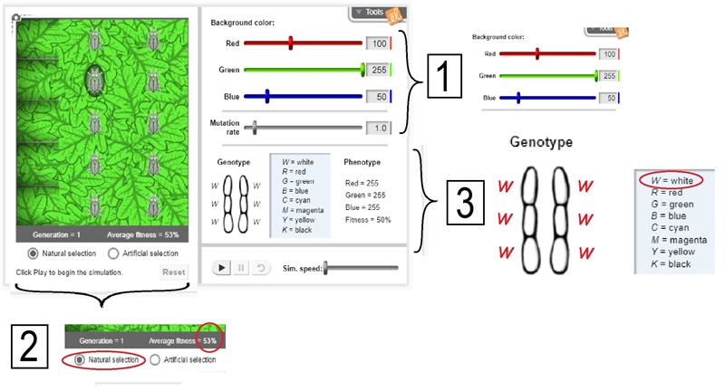 Observe: Hold your cursor over one of the insects. The two rod-like structures under-example-1